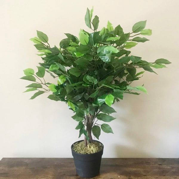 Leaf 60cm Artificial Ficus Tree / Plant - Large Bushy Shape