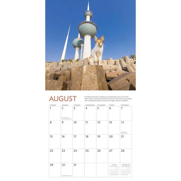 Cats of the World Calendar 2027, Wall Calendars, Month To View, Cats, Gift
