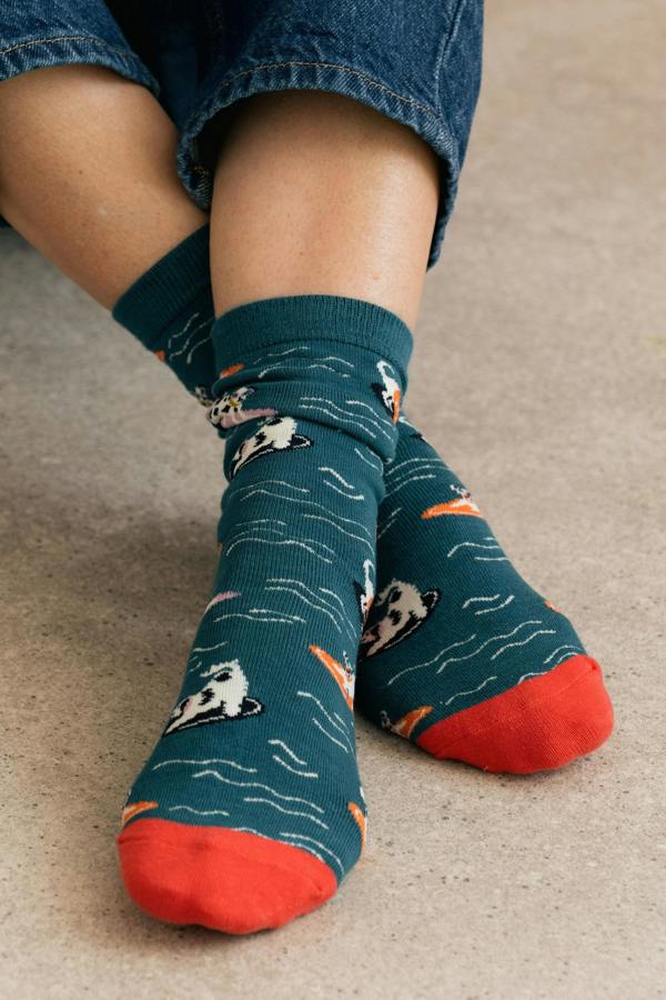 Lily & Me Bowie The Surf Dog Bamboo Socks And Decoration Giftbox