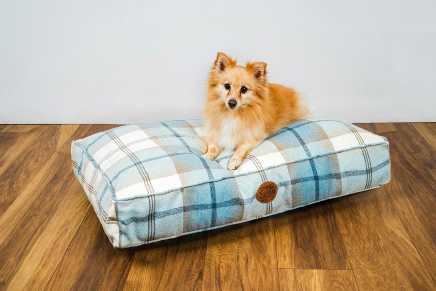 Snug and Cosy Pets Highland Bluebell Cushion Lounger