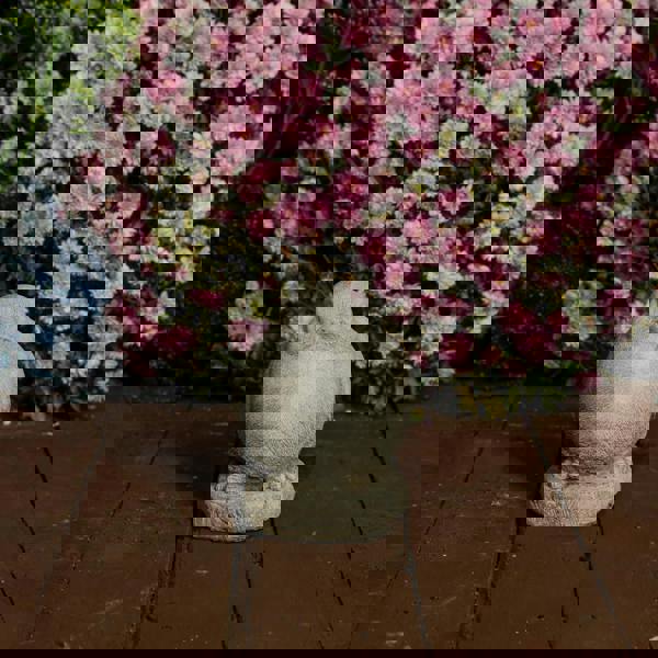 Adorable and Charming Stone Cast Robin Ornament 