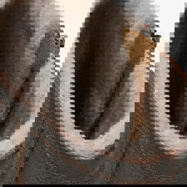 fedro-c10_boots_Brown_10, fedro-c10_boots_Brown_11, fedro-c10_boots_Brown_12, fedro-c10_boots_Brown_13, fedro-c10_boots_Brown_6, fedro-c10_boots_Brown_7, fedro-c10_boots_Brown_8, fedro-c10_boots_Brown_9