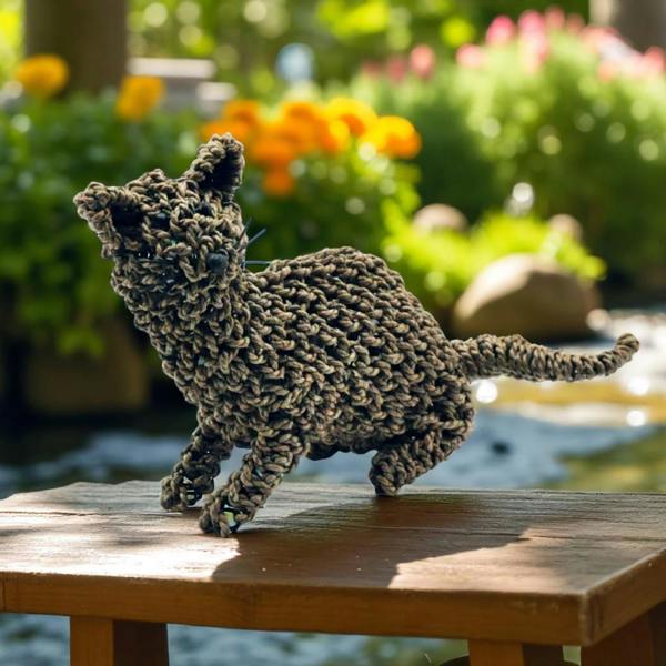 50CM CAT