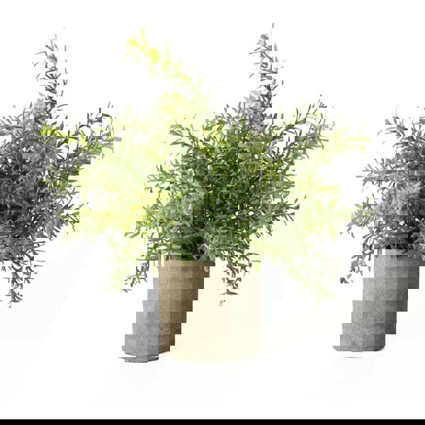 Hill Interiors Rosemary Stone Effect Artificial Plant - Green
