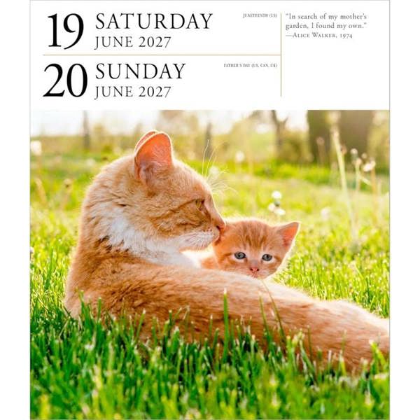 Cat Gallery Desk Calendar 2027, Desk Calendars, Day To View, Cats, Gift