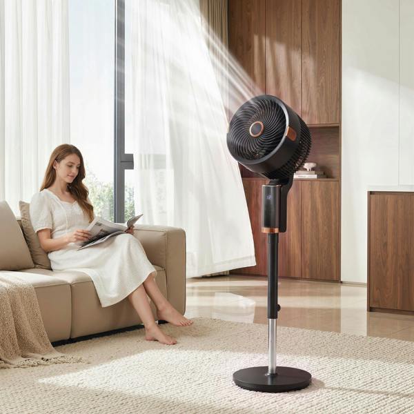Air Circulator Fan