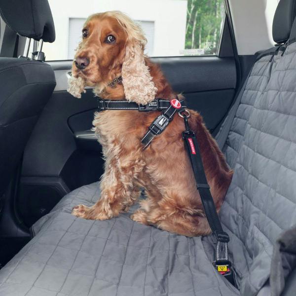 EzyDog Click Dog Seatbelt