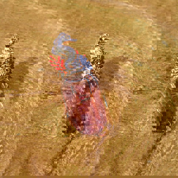 Christian Louboutin Loubihorse Eau de Parfum Légère - 90ml