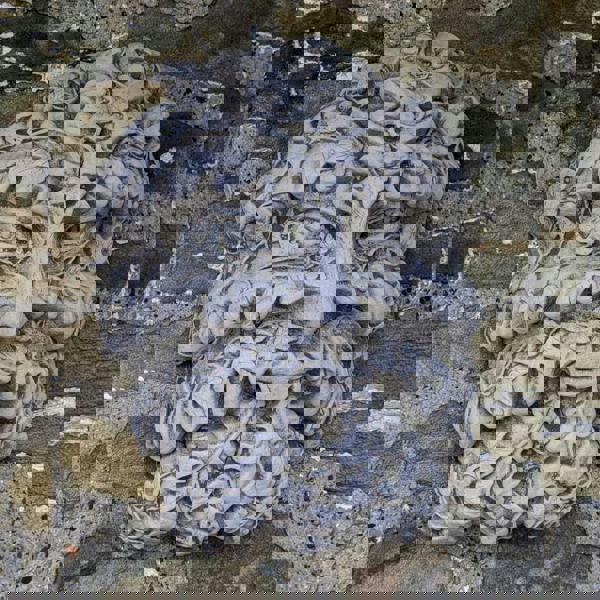 Stone Cast Large Leaf Male Wall Plaque