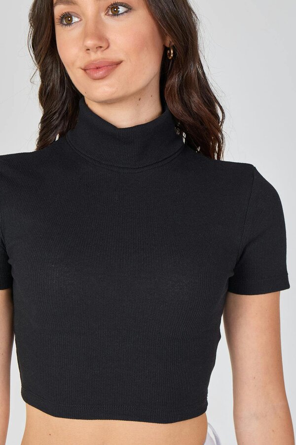 Ribbed Roll Neck Short Sleeve Crop Top