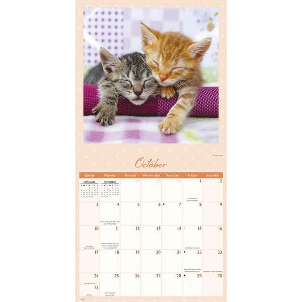 Naptime Cats Calendar 2027, Wall Calendars, Month To View, Cats, Gift