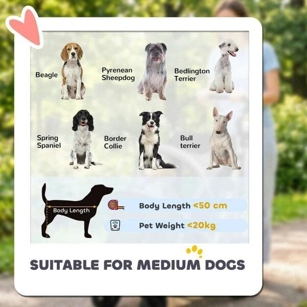 Dog Stroller, Easy Folding Pet Stroller for Small and Medium Dogs with Shock Absorption, Maximum Load 20 kg, Grey