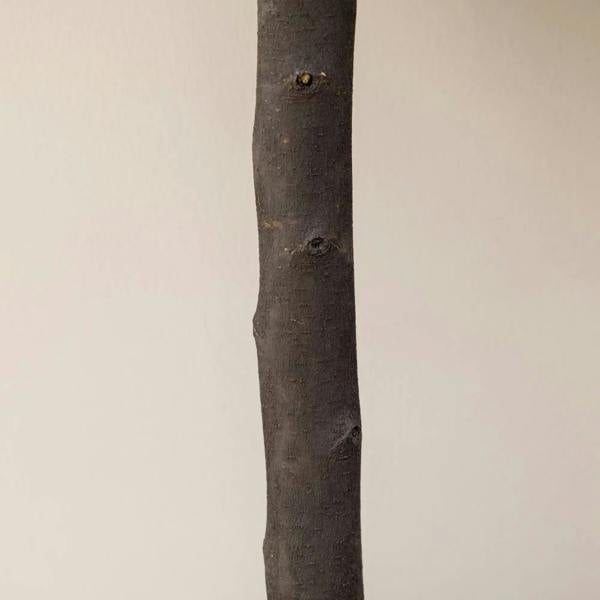 Artificial boxwood ball tree faux trunk section with textured dark bark