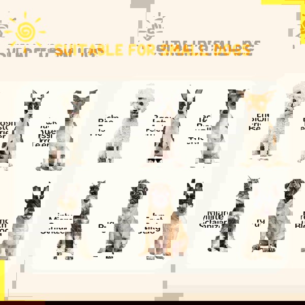 D06-202V01BK
