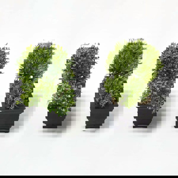 HOMESCAPES Set of 2 Artificial Bonsai Trees in Decorative Pots, 15 cm Tall