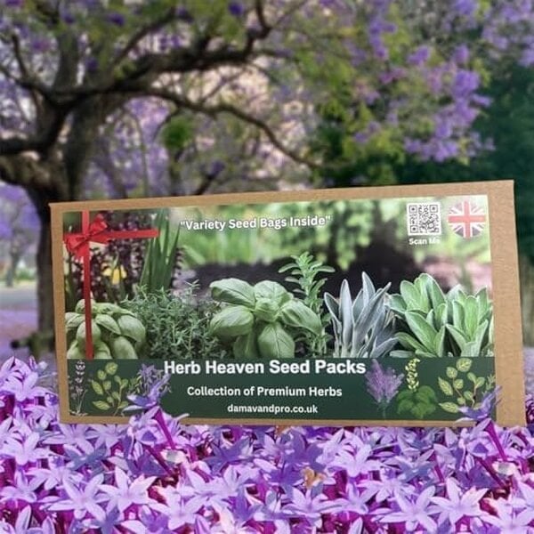 DamavandPro Herb Seeds Kit: 15 Variety Culinary Collection: Indoor & Outdoor Garden