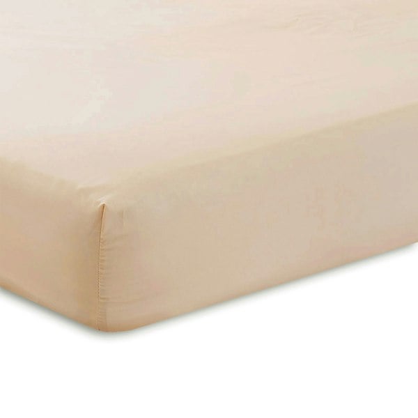 Martex Charlotte Thomas Poetry Plain Dye Single Fitted Sheet - Aubergine - 90 x 190cm