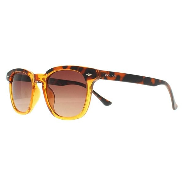 Polar Sunglasses 362 COL.431 Shiny Crystal Honey Havana Brown Polarized