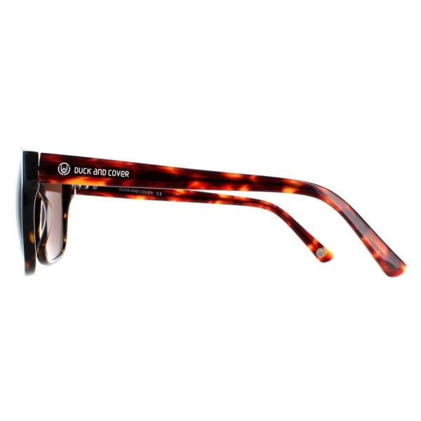 Duck and Cover Sunglasses DCS025 C2 Havana Brown