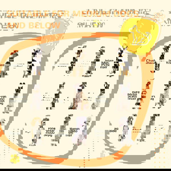 D02-140V70GY