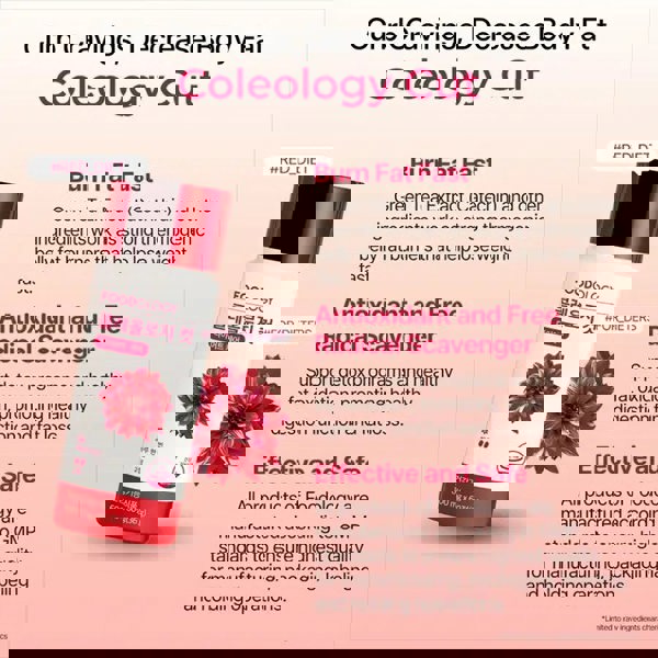 FOODOLOGY Coleology Cut 600mg x 60 tablets