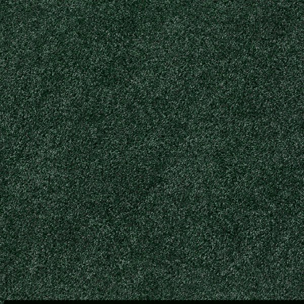 Howler & Scratch Shaggy Rug Forest Green