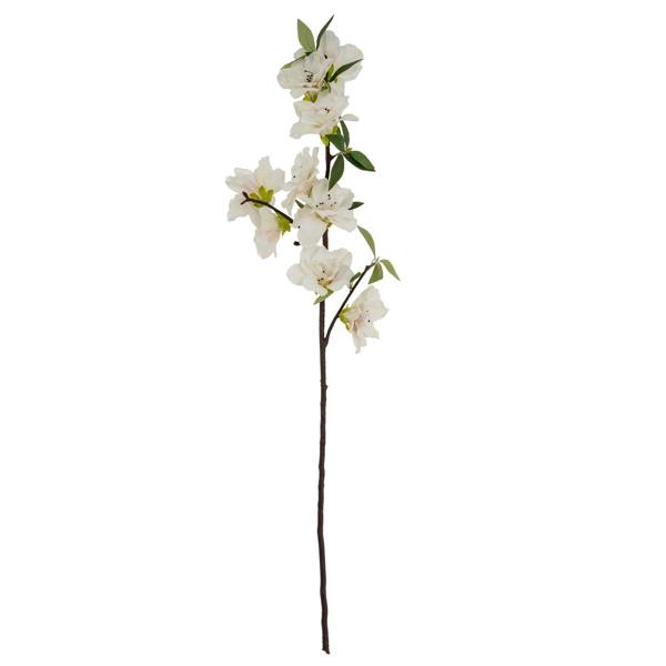 Wyld Haus Set of 3 White Bloom Large Sprays