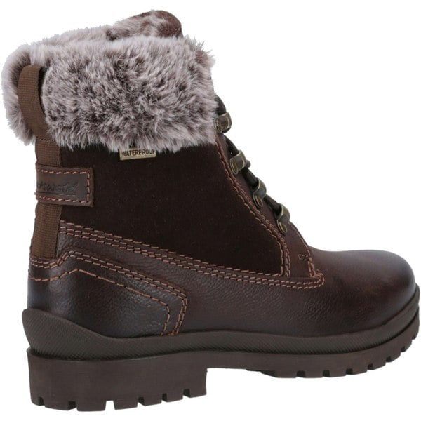 Cotswold Evenlode Leather Women's Brown Winter Ankle Boots