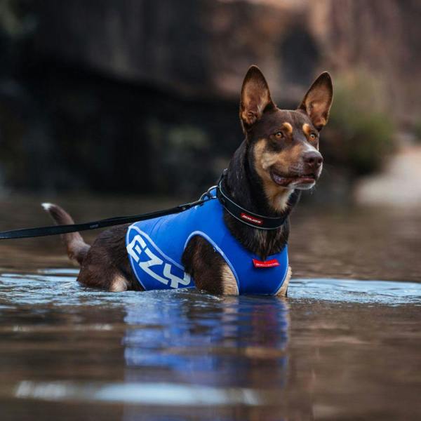 EzyDog UPF 50+ Dog Rash Vest in Blue