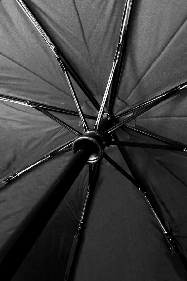 Underside of open black Optimum compact umbrella showing ribs, frame and shaft, close-up - Optimum