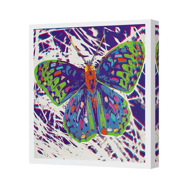 Benjamin Tate Design Vibrant Butterfly Canvas Art Print With Deep Wooden Frame UK Handmade
