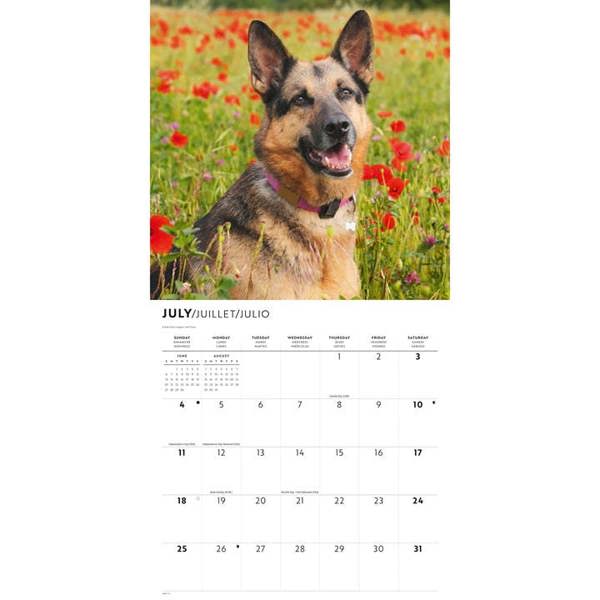 German Shepherds Calendar 2027, Wall Calendars, Month To View, Dogs, Gift