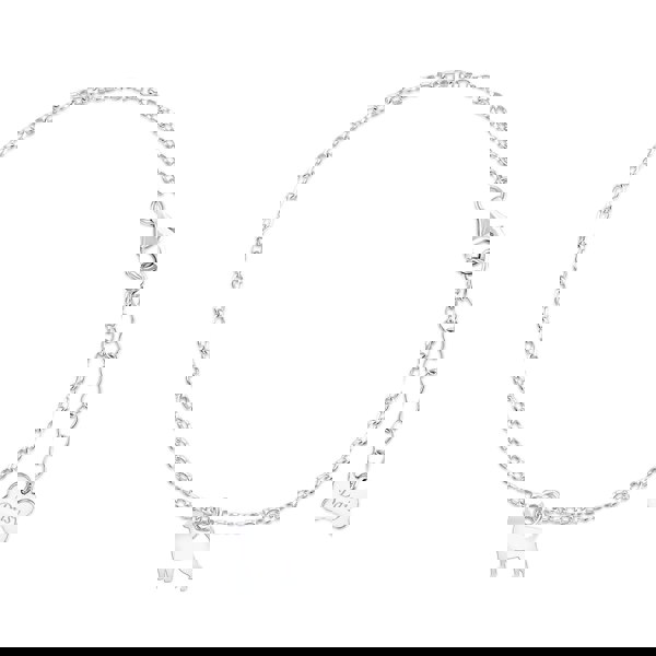 Mylee London Rottweiler Silhouette Silver Chain Bracelet - Personalised