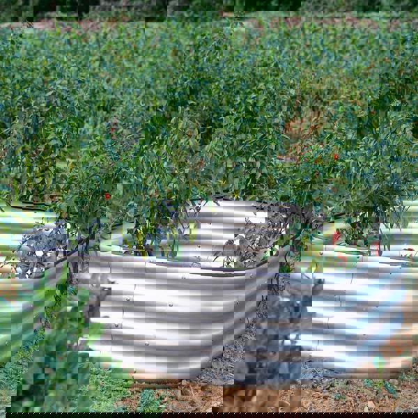 Gr8 Garden Outdoor Raised Bed Planter Square Galvanised Steel Trough 120x120x30cm