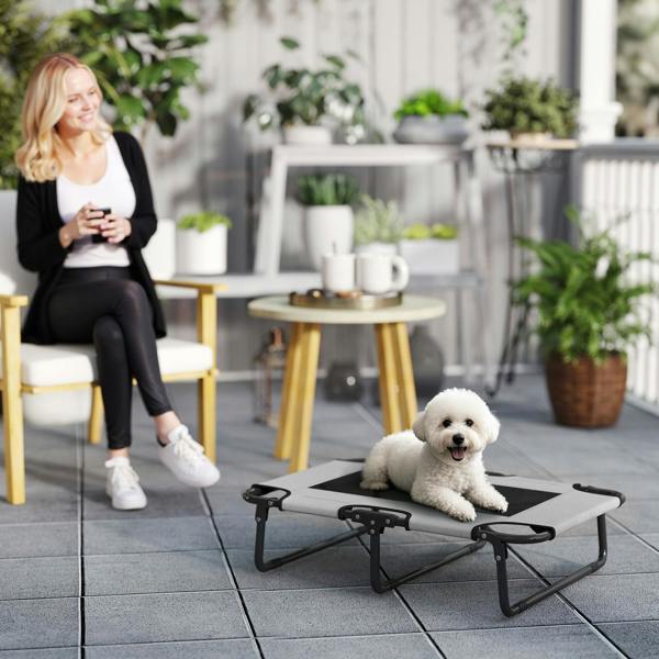 Elevated Dog Bed