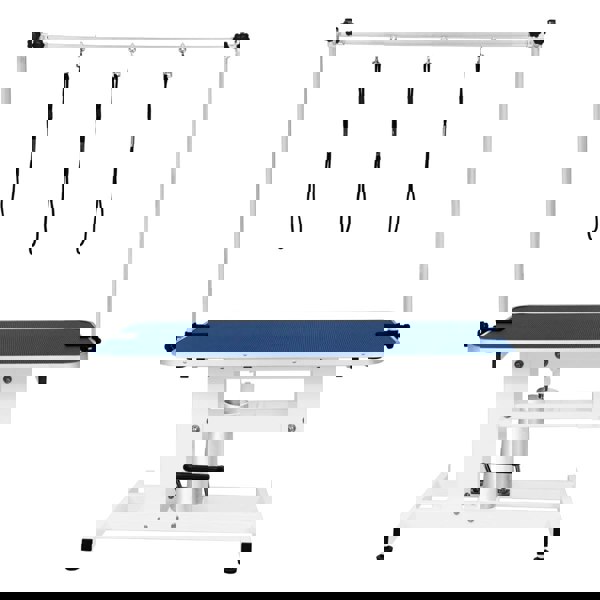 Monstershop White Hydraulic Grooming Table - Blue Table Top