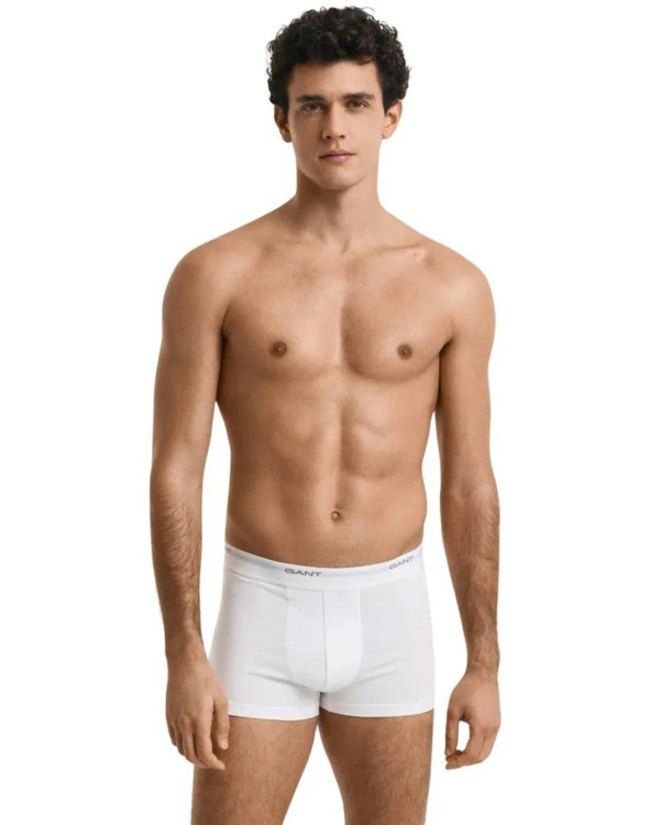 GANT 3-Pack Core Logo Boxer Trunks, Black/White/Grey