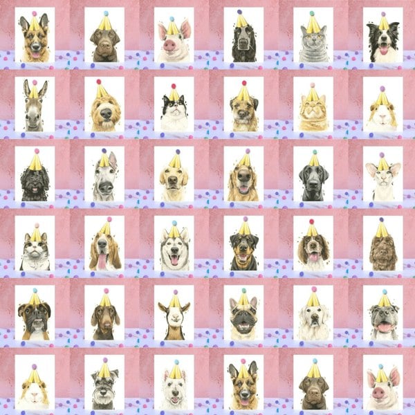 Dog Birthday Card - MYLEE London