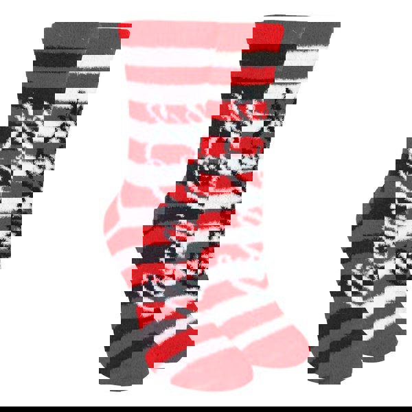 t4option1_1