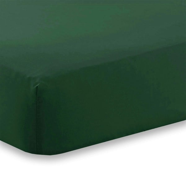 Martex Charlotte Thomas Poetry Plain Dye Single Fitted Sheet - Aubergine - 90 x 190cm
