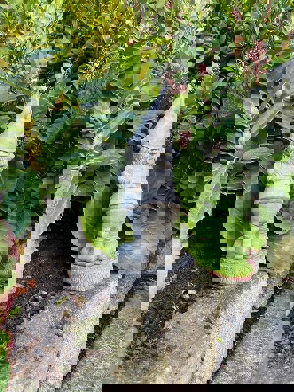 Small Gnome Fairy Ornament