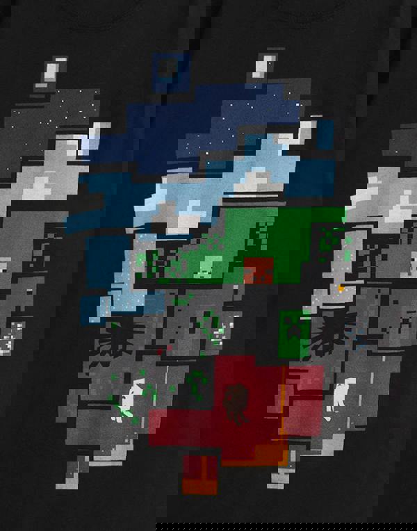 Minecraft Boys Black Short Sleeved T-Shirt