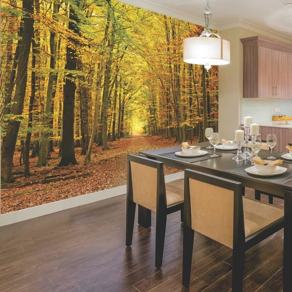 Origin Murals Autumn Forest Wall Mural