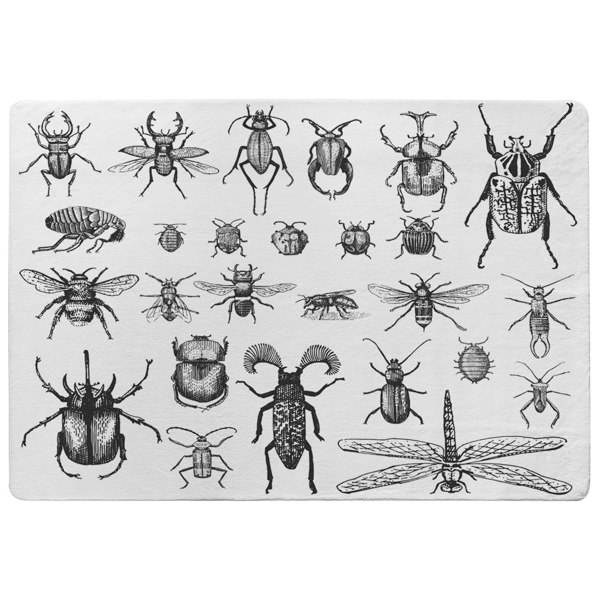 Benjamin Tate Design big set of insects bugs beetles and bees, fleas many species in vintage old hand drawn style (Rug)