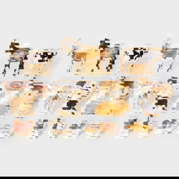 tickit Wooden Domestic Animal Blocks