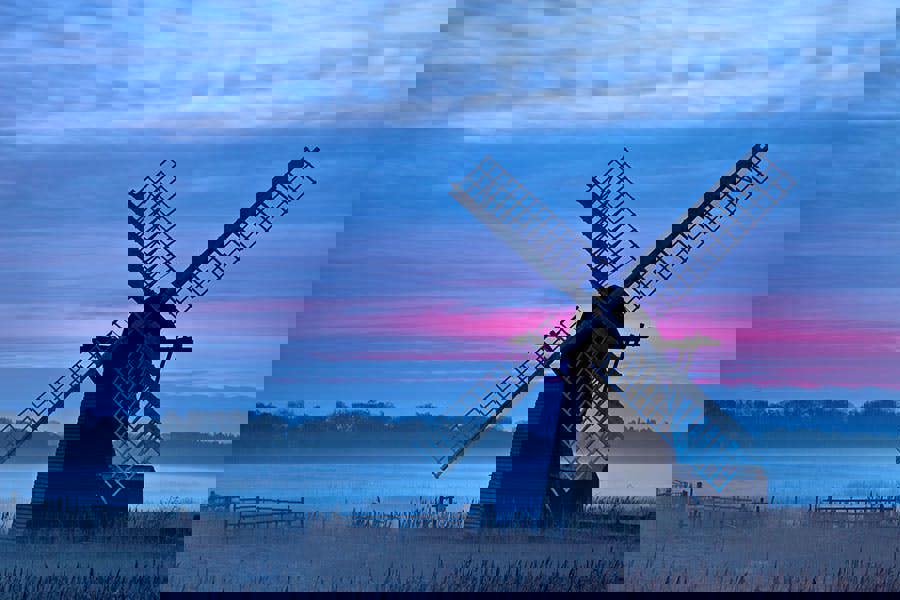 Fernlight Gallery Morning Blue