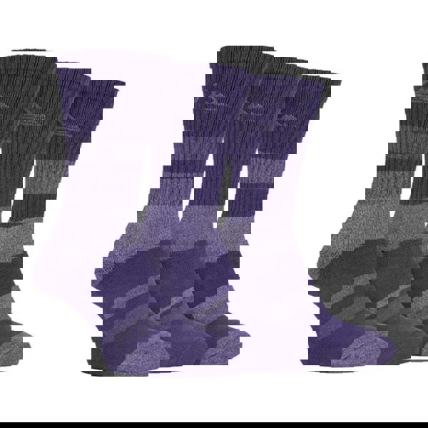 t4option1_2
