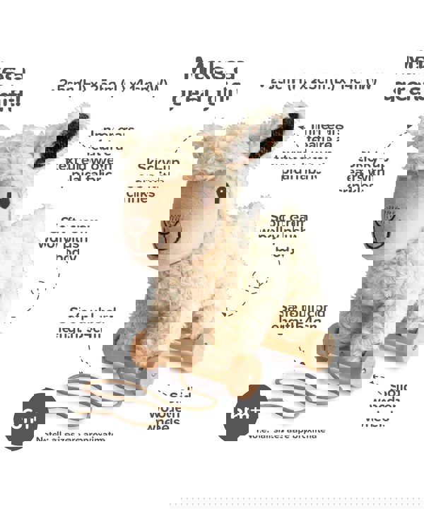 Infographic image of Lambert Sheep Pull Along Toy showing features and benefits
