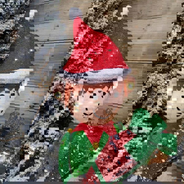 Samuel Alexander 107cm Warm White LED Lit Elf Character with Present Christmas Decoration in Green and Red