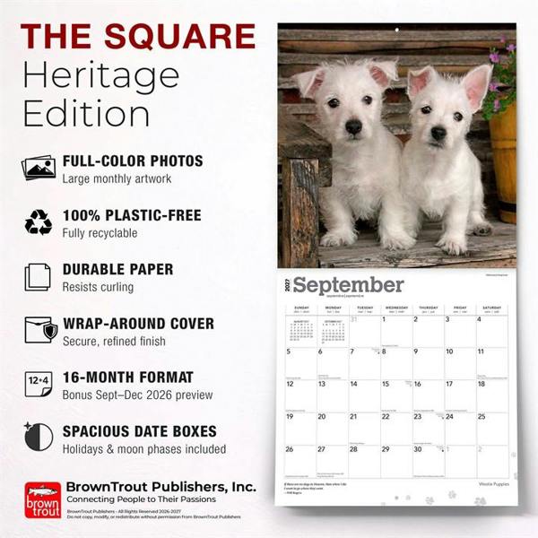 Westie Puppies Calendar 2027, Wall Calendars, Month To View, Dogs, Gift
